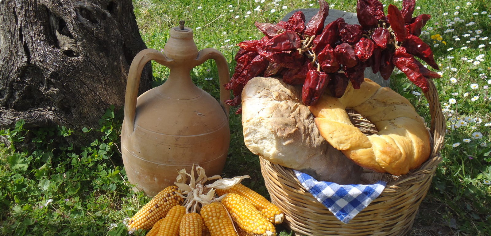 Azienda Agrituristica Acampora